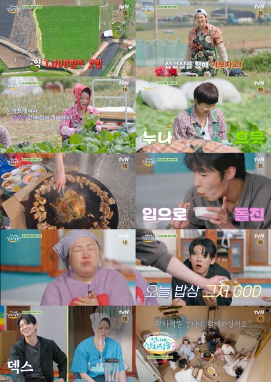언니네 산지직송2 / 사진=tvN 제공
