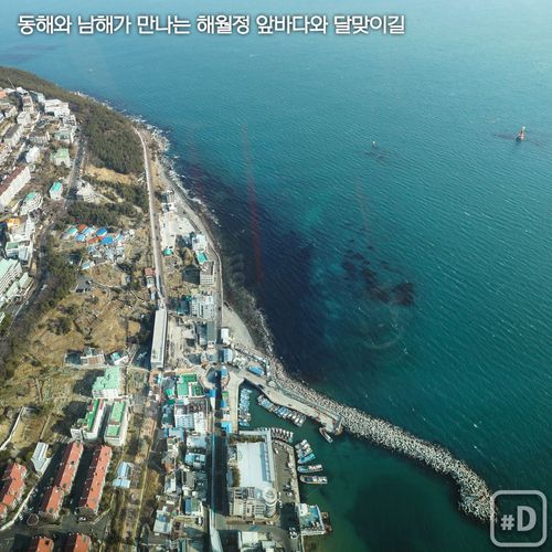 [여행honey] 100층에서 바다·해변·도시 뷰를…부산엑스더스카이 : ZUM 뉴스 [여행honey] 100층에서 바다·해변·도시 뷰를…부산엑스더스... 