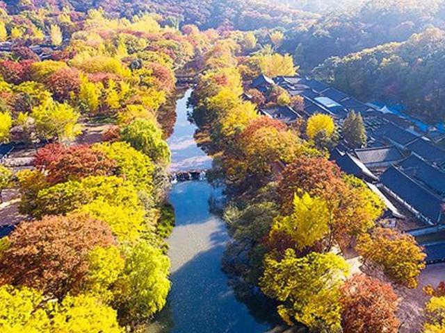 힘든데 산을 왜 올라가? 단풍 사진 의외의 명소, 테마파크 어디 : Zum 허브