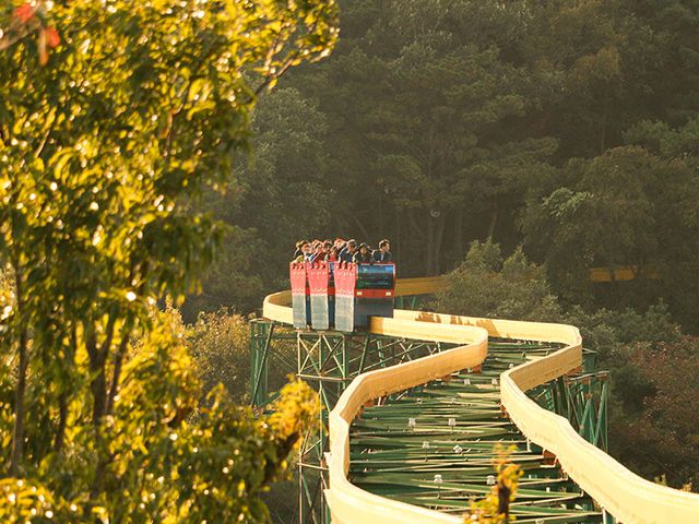광주 무등산, 그 꼭대기를 가로지르다. : ZUM 허브 광주 무등산, 그 꼭대기를 가로지르다.