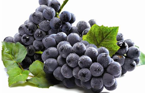 포도