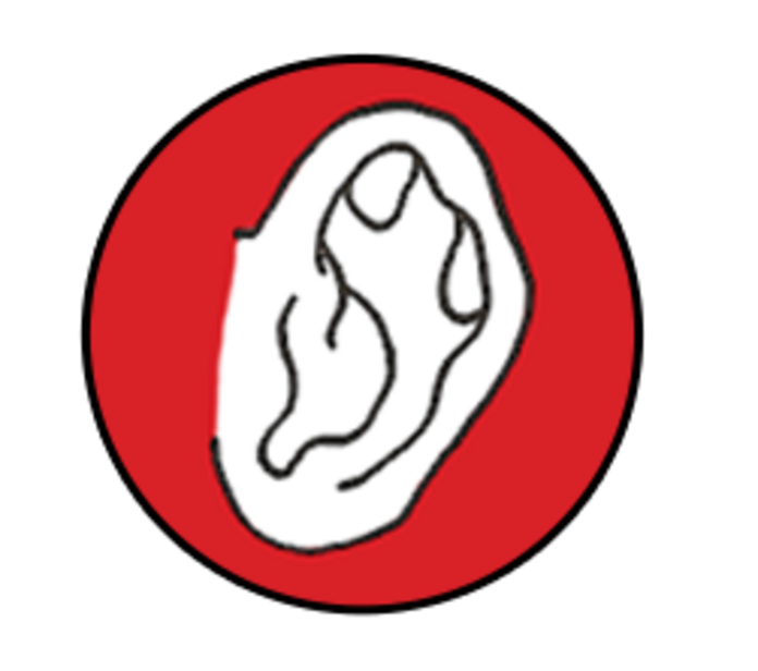 귓볼이 없이 둥근 귀