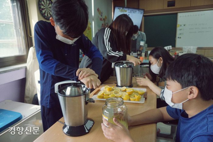 마산초 6학년 학생들이 9월 21일 레모네이드를 만들기 위해 레몬즙을 짜고 있다. 노도현 기자