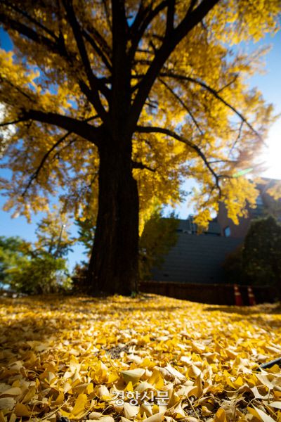우철훈 선임기자