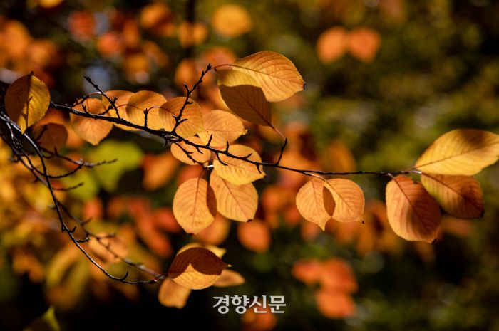 우철훈 선임기자