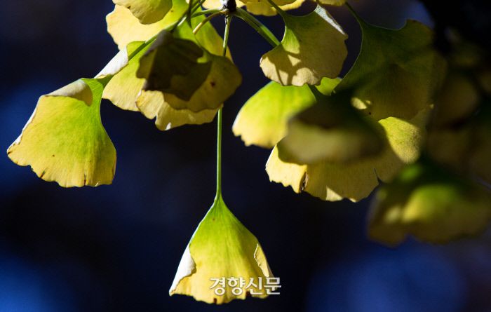 우철훈 선임기자