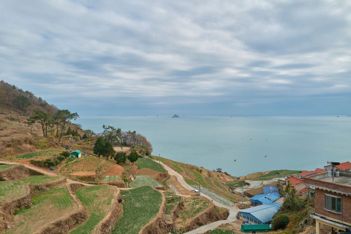 다랭이 마을 논 자리는 추수 뒤 남해 명물 시금치와 마늘이 차지한다.