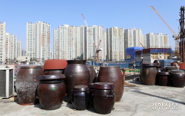 옥상에 놓인 장독대 뒤로 아파트가 보인다. / 권도현 기자