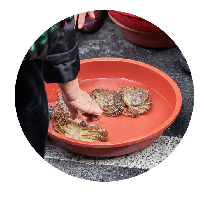 꽃게와 홍게의 장점만 합쳤다 ‘밤송이게’