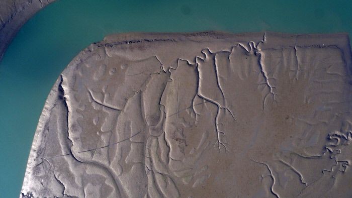 신안 압해도 대천갯벌.   문화재청 제공