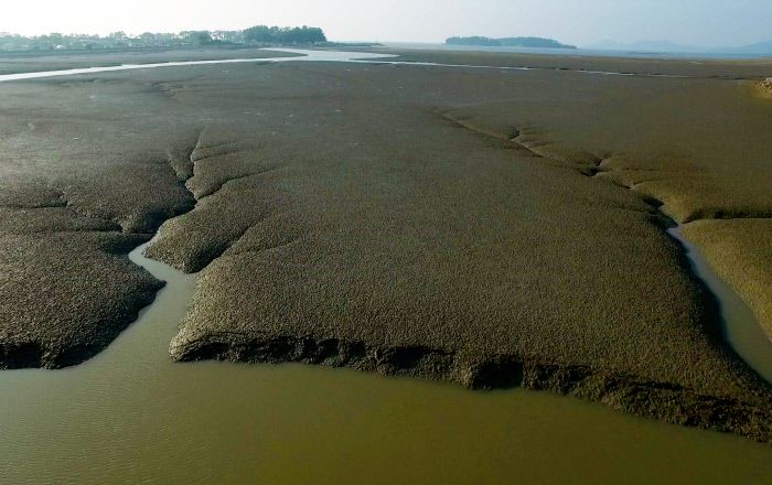고창 갯벌.   문화재청 제공