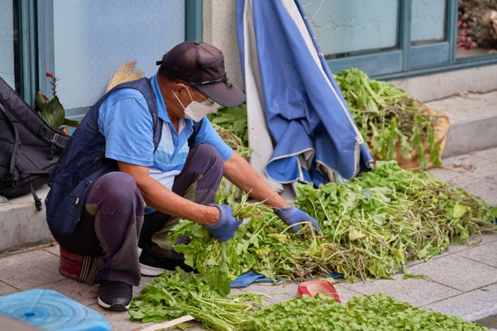 장터에서 직접 키운 열무를 다듬고 있는 농부.