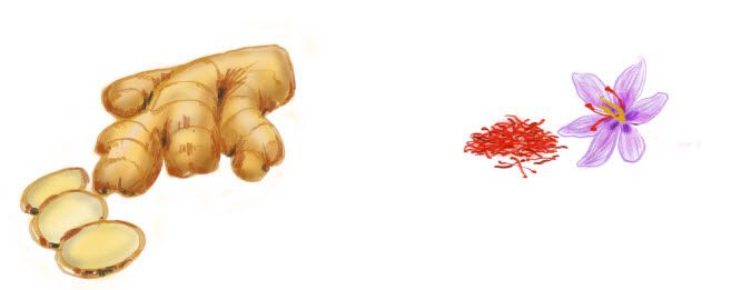 생강과 샤프론. 좀 더 예쁜 책을 만들어 보고 싶은 욕심에 박 작가는 책에 등장하는 식재료 그림도 직접 그렸다. 취미가 그림 그리기라 가능했다고.