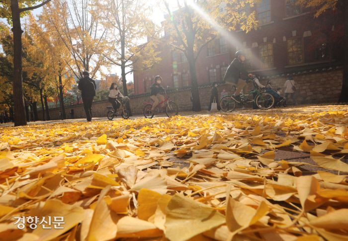 오래된 친구들과 천천히 걷기 좋은 정동길. 강윤중 기자