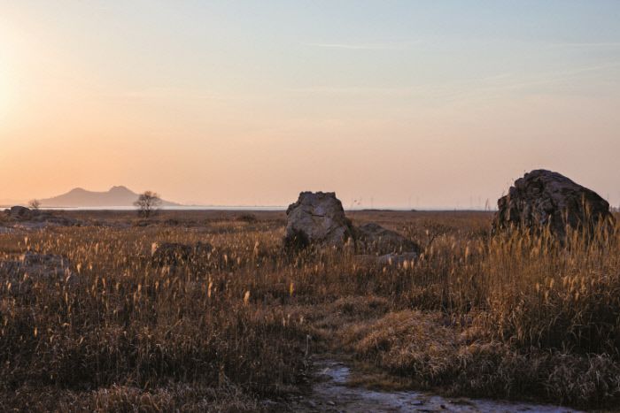 박여진 작가가 가을에 걸으면 좋은 길로 추천한 경기 화성의 우음도. 사진|백홍기 작가·마음의숲 제공