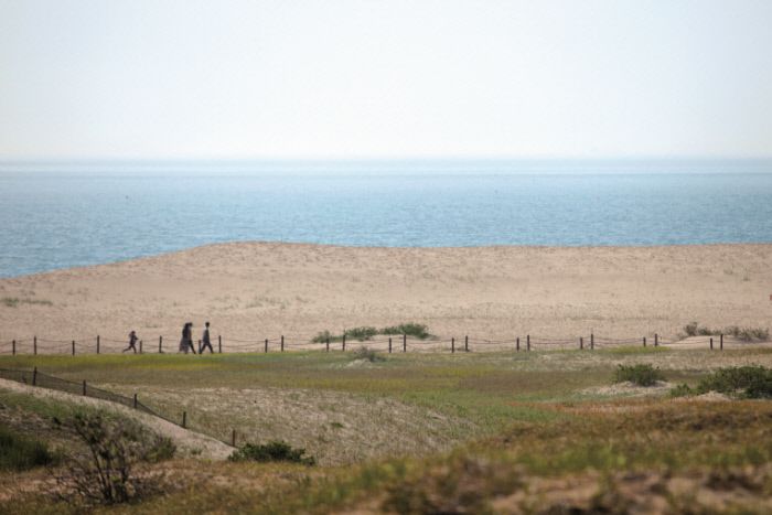 신두리 해안사구를 함께 걸은 박여진 작가의 조카는 모래언덕에 새겨진 바람의 자국을 “눈물 자국 같다”고 말했다. 사진|백홍기 작가·마음의숲 제공