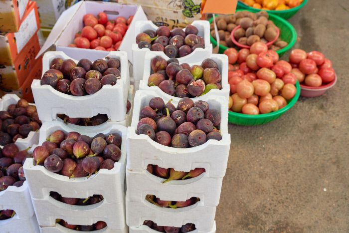영암의 대표 작물인 무화과는 이미 끝물이었다.