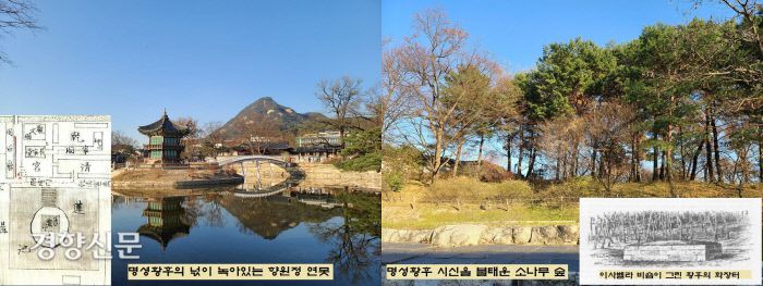 향원정 연못은 명성황후의 재가 뿌려진 곳일 수 있다. 건청궁 바로 옆에 있는 녹산의 소나무 숲은 무자비하게 희생된 명성황후의 시신이 불태워진 비극적인 곳이다.