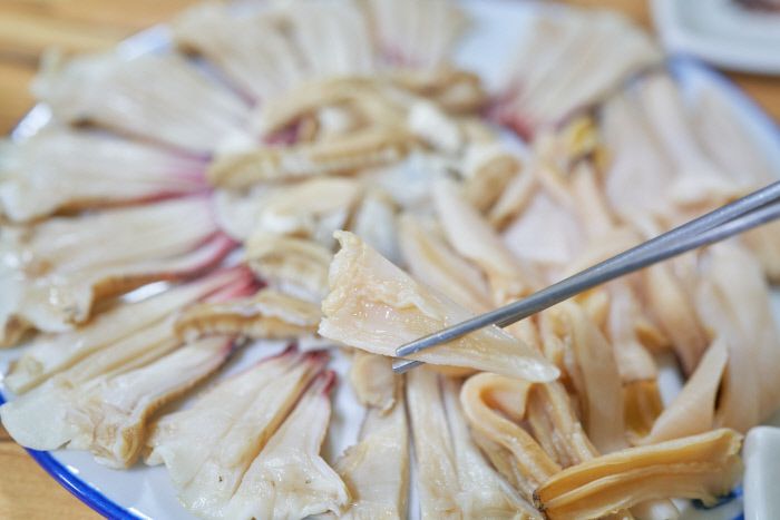 깊은 수심에서 잠수부가 잡아 올린 코끼리조개.