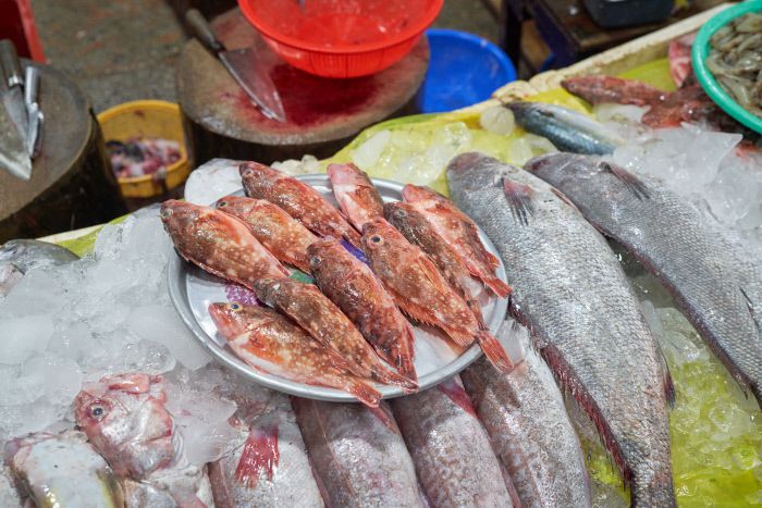 구우면 천하일미, 젓국으로도 좋은 쏨뱅이가 철 지난 민어 옆에 자리 잡았다.