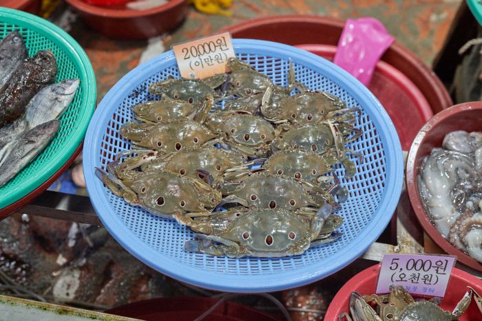 3개의 반점이 박힌 점박이 게. 거제에서 게장으로 즐겨 먹는다.