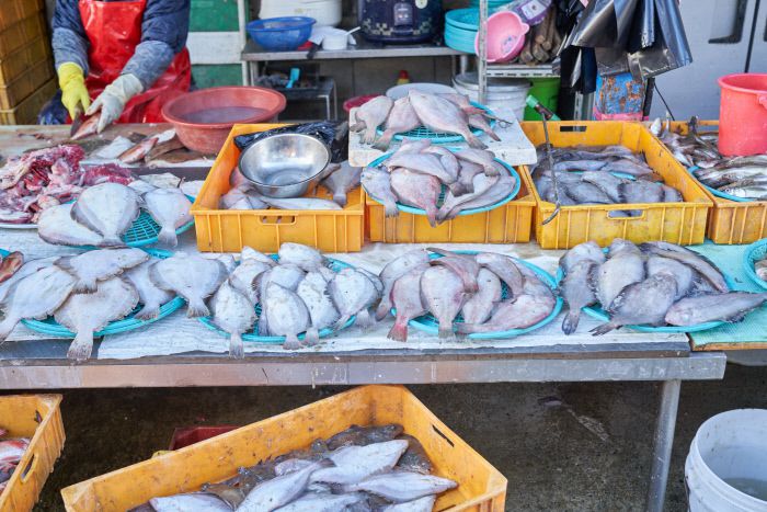기름, 참, 문치 등 다양한 종류의 가자미가 한 바구니 1만~2만원이다.