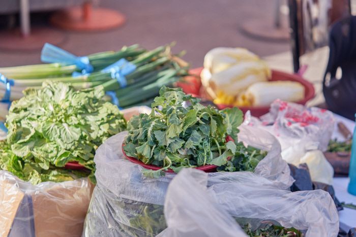 봄동과 함께 좌판에 자리잡은 봄의 상징 겨울채.