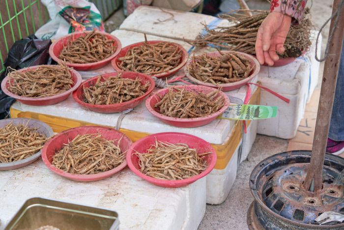 봄나물을 기다리는 좌판 위의 더덕.