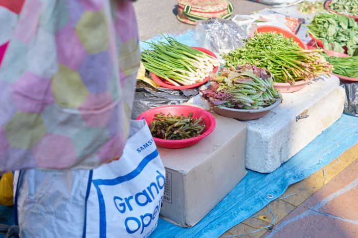 봄을 알리는 첫물 두릅. 비닐하우스에서 재배한 것과 달리 크기가 제각각이다.