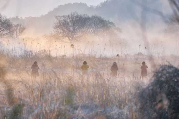국내 최대 규모 천연 늪인 창녕 우포늪은 ‘출사’ 장소로도 사랑받는 곳이다.