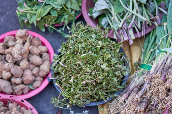 도랑이나 습지에서 나는 돌미나리는 길이가 짧고 연약하지만 향은 제대로다.