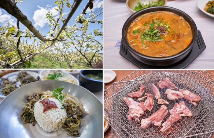 새햐얀 배꽃이 한창인 ‘서 있는 돌 농원’. 남강이 지나는 산청에는 어탕국수 하는 집이 많다. 48㎞를 달려가 먹을 이유가 충분했던 토종닭숯불구이. 갓 지은 밥에 산나물 듬뿍 비빔밥은 산촌을 찾는 묘미 중 하나다(왼쪽 위 사진부터 시계방향).