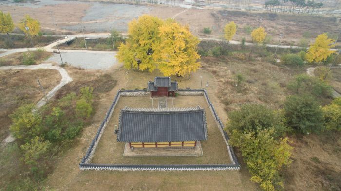‘세종 임난수 은행나무’와 숭모각(임난수 사당). 문화재청 제공