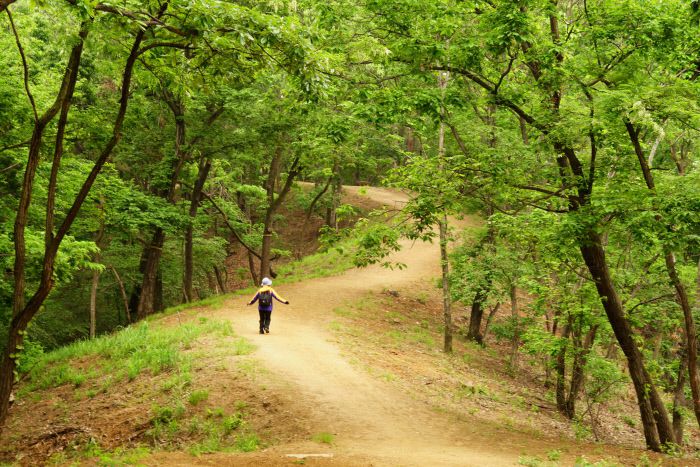 파주 장릉 숲길. 문화재청 제공