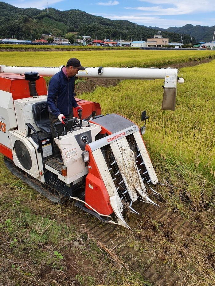 영농대행 작업자가 지난해 10월 강원 화천군에서 콤바인을 몰면서 벼 베기 작업을 하고 있다. 화천군은 고령자 등 취약농민들이 농사를 짓고 있는 논에 전문 인력을 파견해주고 있다. 화천군 제공