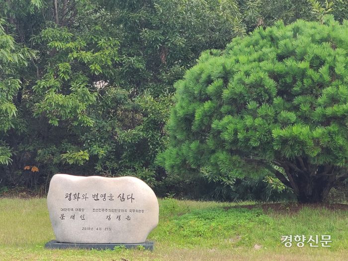 2018년 4월26일 당시 문재인 대통령과 김정은 북한 국무위원장이 판문점 선언을 맞아 판문점 내에 심은 소나무와 기념비. 박광연 기자