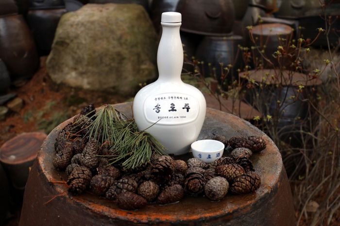 오는 15일 네이버 라이브 쇼핑에서 선보이는 충북 보은의 송로주. 보은군 제공.