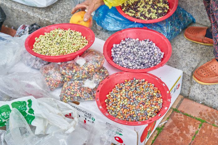 토종팥과 동부콩.