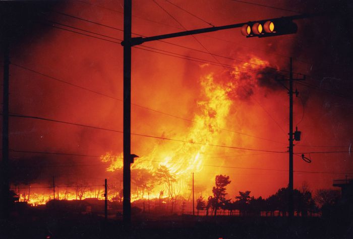 산불 현장. 산림청 제공