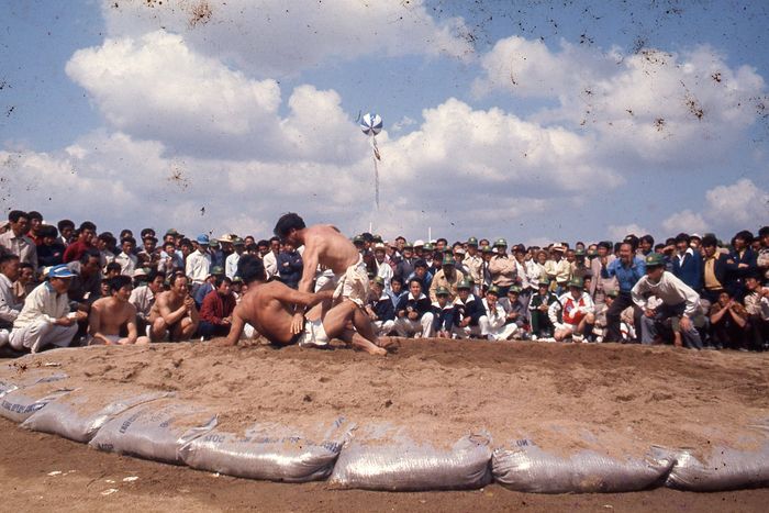 인구감소와 고령화 영향으로 충북 보은군이 1979년부터 개최해오던 군민체육대회를 폐지했다. 사진은 보은군민체육대회 옛 모습. 보은군 제공.