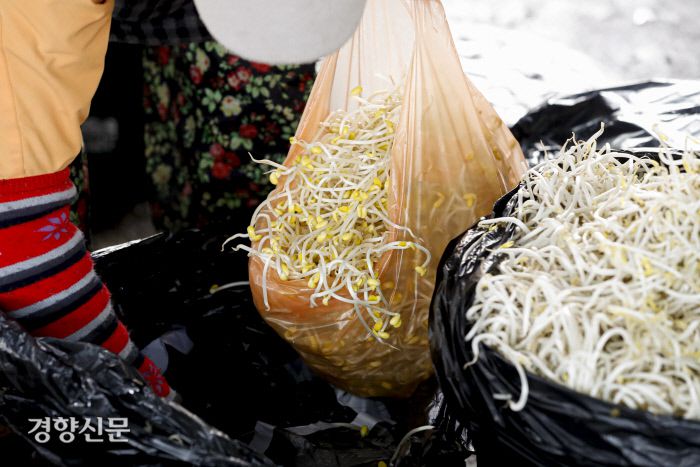 한 상인이 콩나물을 비닐봉지에 담고 있다. 문재원 기자