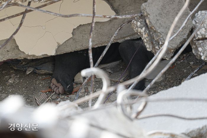 튀르키예·시리아 대지진 5일째인 10일(현지시간) 튀르키예 남부 하타이주의 안타키아 지진 피해지역 잔해 더미 사이로 숨진 한 남성의 발이 보인다. 안타키아(튀르키예)｜문재원 기자