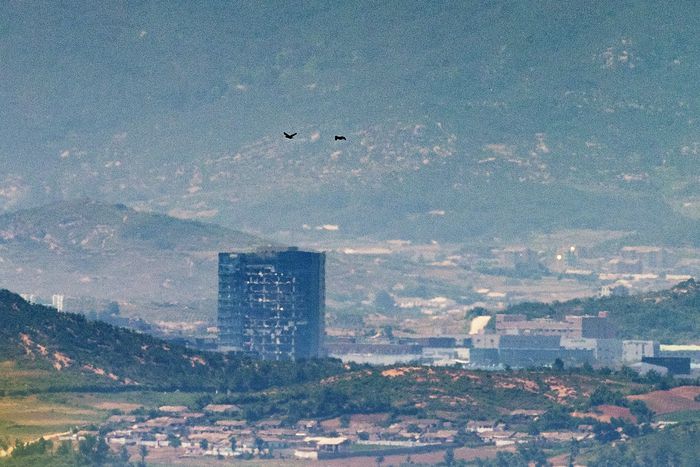 2020년 6월 경기 파주시 접경지역에서 바라본 개성공단 모습. 북한의 남북 공동연락사무소 폭파로 파손된 개성공단지원센터 위로 새들이 날아가고 있다. 연합뉴스