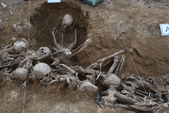 충남 아산시 성재산 방공호에 무릎이 굽혀진 채 매장된 유해. 진실화해위 제공