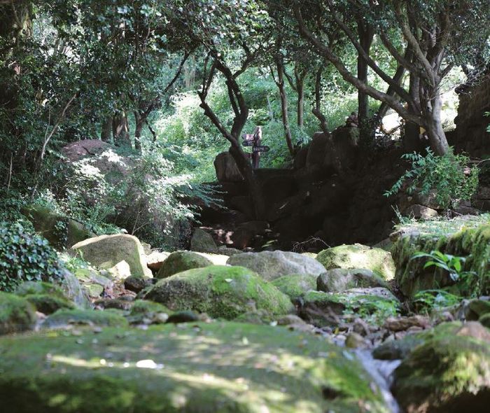 전남 강진군 성전면 월출산 자락에 있는 ‘백운동 원림’. 사유지인 이곳은 2010년부터 일반인들에게 개방됐다. 강진군 제공.
