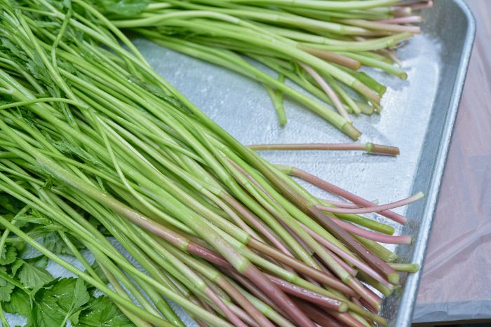 밑동이 진한 보라색을 띠는 미나리. 단맛과 향을 오롯이 품고 있다.