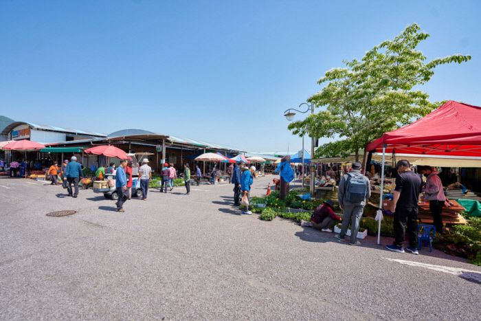 장터에서 불난 호떡집보다 사람들의 발길이 모이는 곳은 모종 파는 곳이었다.