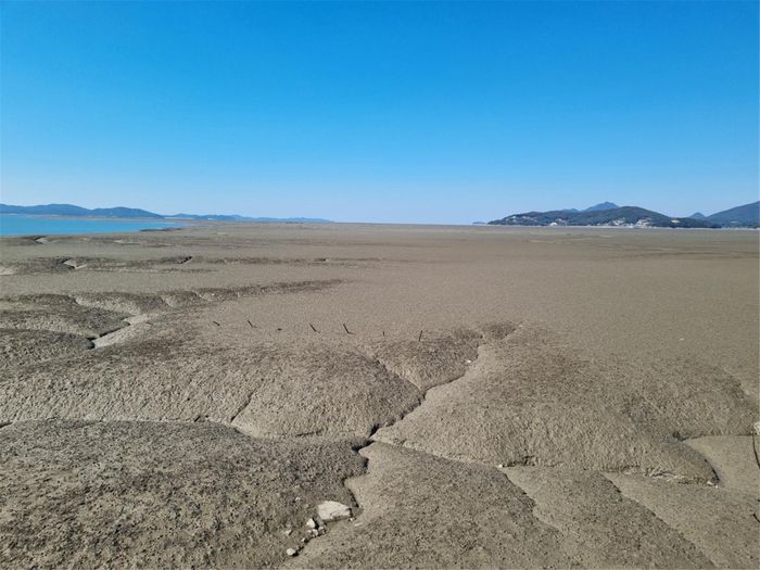인천 갯벌.|인천시 제공