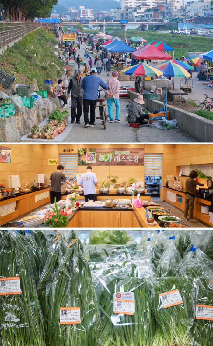 오일장이 없는 전주에는 오일장보다 농산물이 저렴한 새벽시장이 있다. 새벽에 수확한 지역 채소의 맛을 볼 수 있는 농가레스토랑. 국내에서 생산되는 세 가지 부추(그린벨트·솔부추·두메부추)를 모두 판매하는 로컬푸드 매장(위 사진부터) .