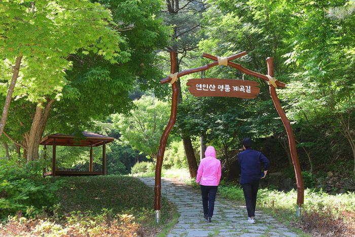 경기 가평 영인산 명품 계곡길.  산림청 제공